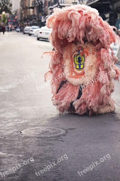 Costume Feathers Pink Urban Fur