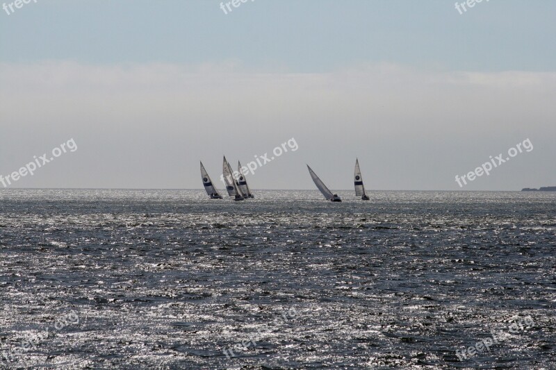 Tejo Sailboats Portugal Free Photos