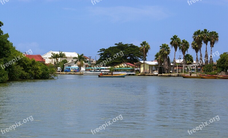 Black River Black River Safari River Nature Beautiful