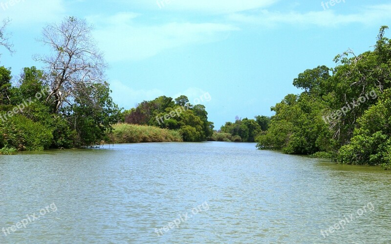 Black River Black River Safari Beautiful River Water