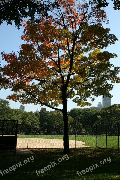 Central Park Nyc Scenery Landscape Water