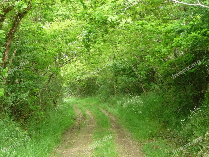 Trail Field Vendéenne Landscape Nature