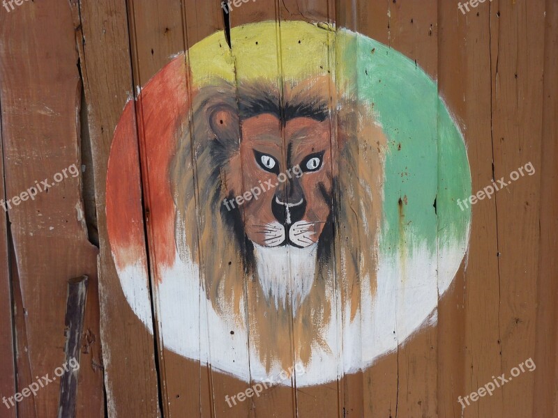 Jamaica Painting Lion Free Photos