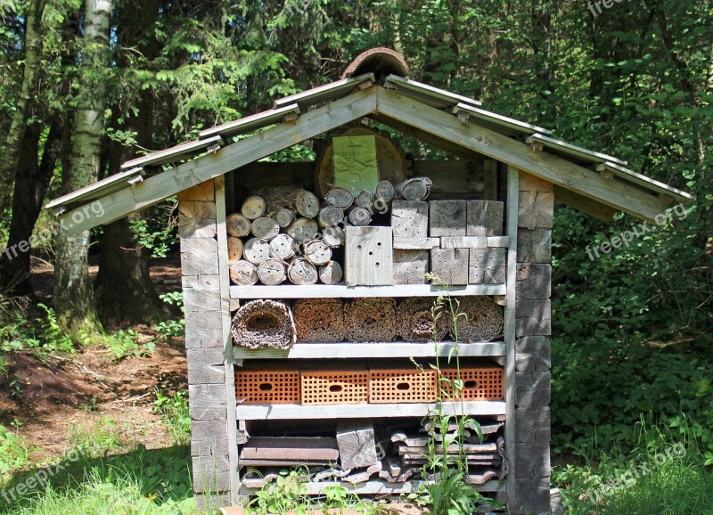 Insect Hotel Nesting Help Wild Bees Insect Bee Hotel