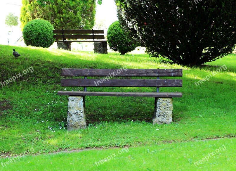 Bank Bench Nature Seat Recovery