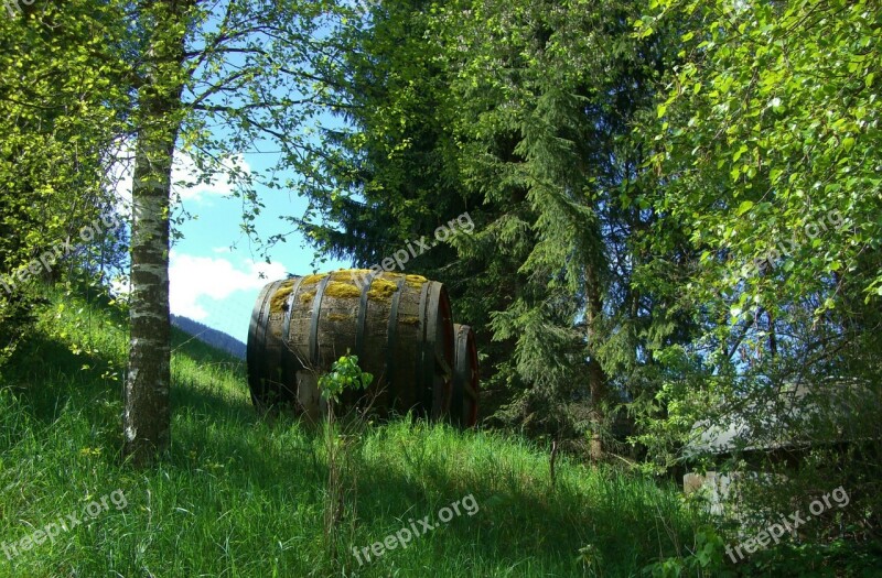 Beer Keg Barrels Beer Wood Nature