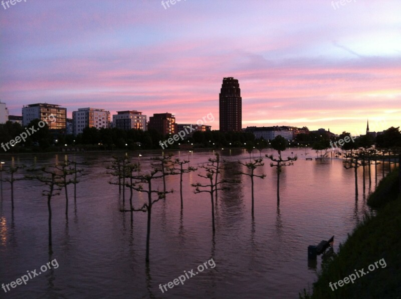 Frankfurt Sunset Sycamore Eastern Harbour Sky