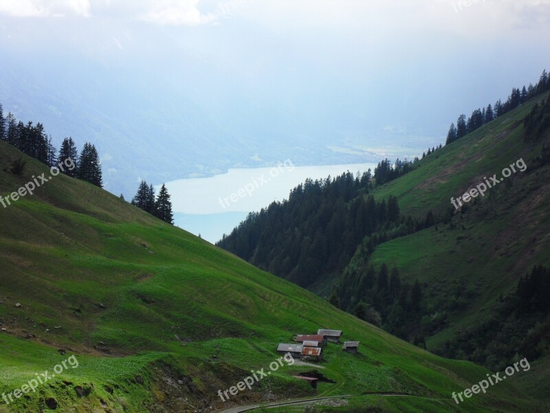 Alm Landscape Alpine Mountains Meadow