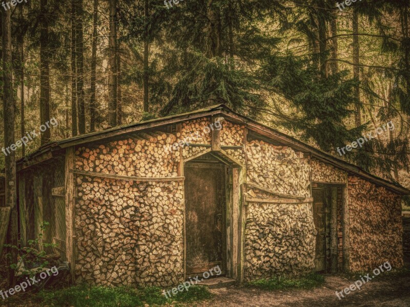 Forest Hut Log Cabin Wood Old