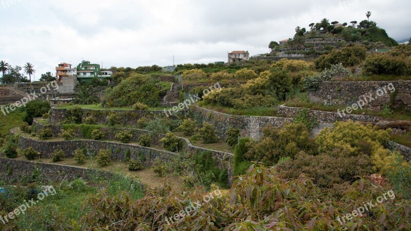 Tenerife Nature Volcano Pico Del Teide Free Photos