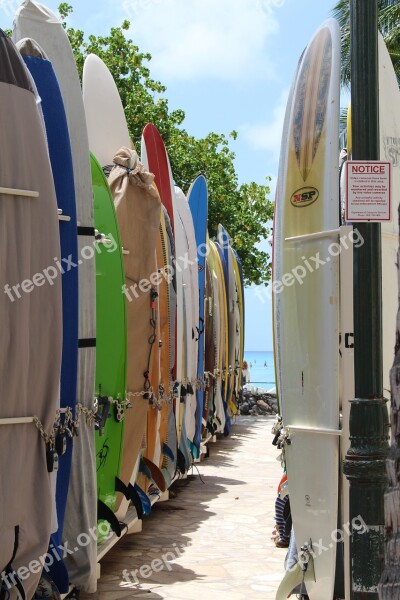 Surfboards Boards Beach Surfboard Surfer