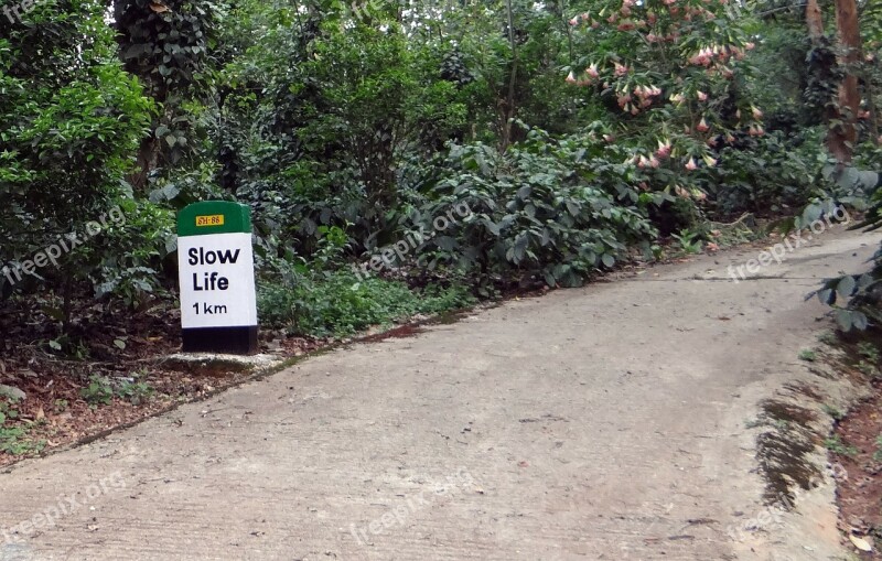 Milestone Road Sign Roadsign Amusing Kodagu