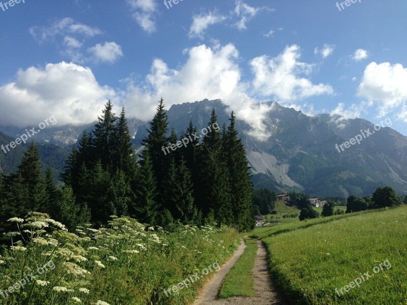 Ramsau Dachstein Trail Spring Meadow