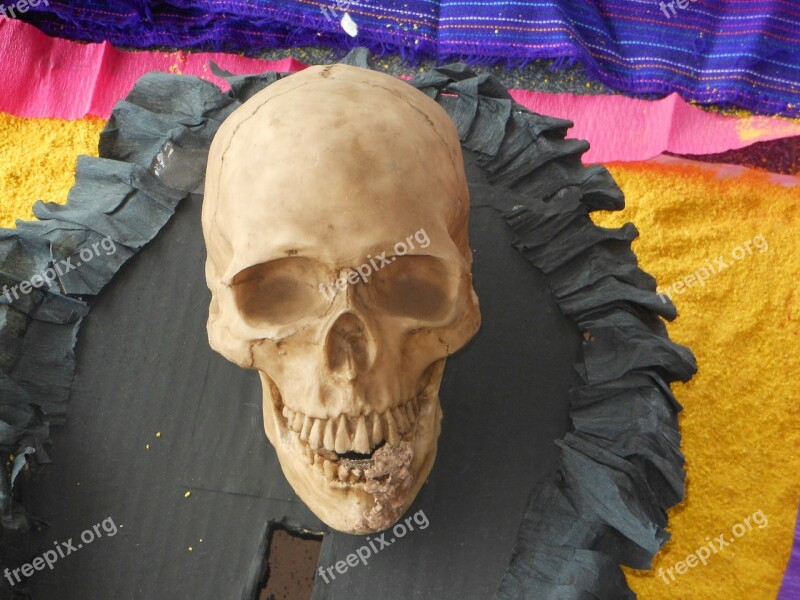 Skull Day Of The Dead Mexico Free Photos