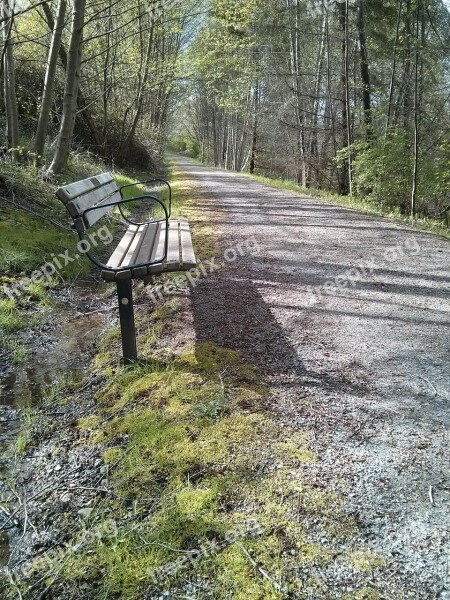 Park Bench Trail Spring Nature Perspective