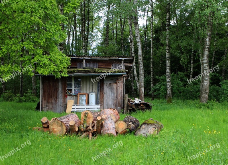 Forest Lodge Hut Log Cabin Forest Scale