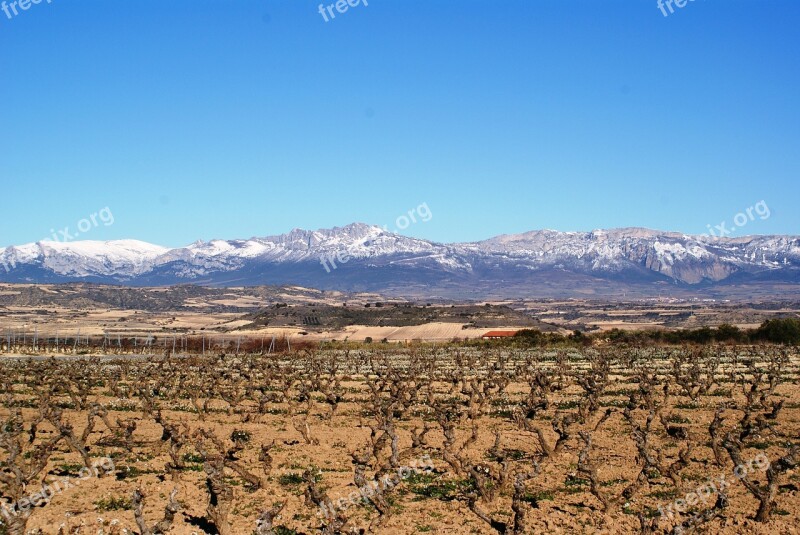 La Rioja Logroño Vineyards Winter Free Photos