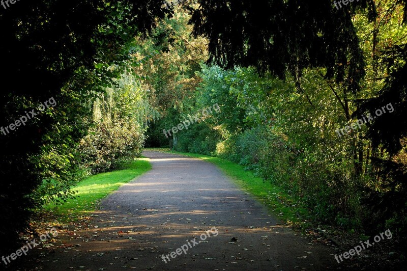 Park Forest Away Leaves Nature