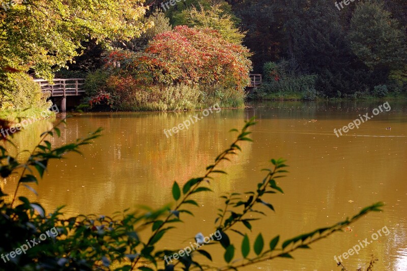 Lake Forest Autumn Bridge Water