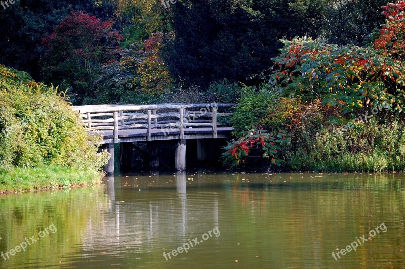 Lake Bruck Autumn Forest Water Connection