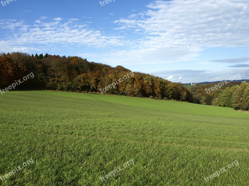 Autumn Day Rays Shining Yellow Yellow Green