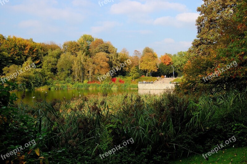 Lake Water Forest Autumn Colorful