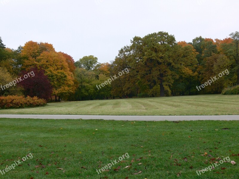 Autumn Garden Tree Nature Leaves