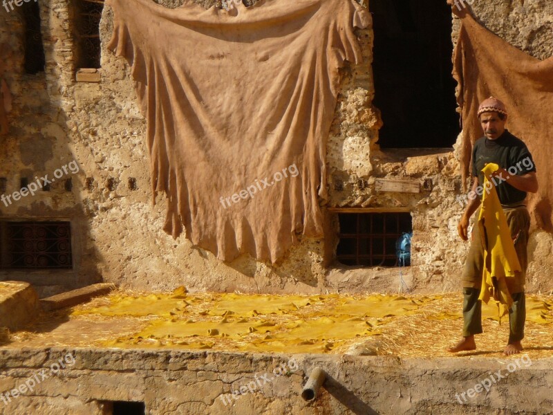 Morocco Skins The Tannery Artisans Free Photos