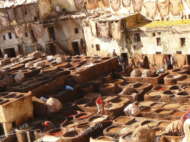 Morocco Skins The Tannery Artisans Free Photos