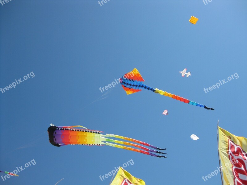 Kites Flying Wind Playing Asian