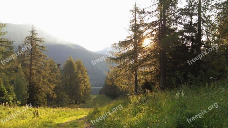 Nature Austria Styria Mountains Valley