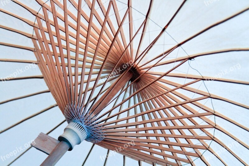 Umbrella Spokes Canopy Structure Circle