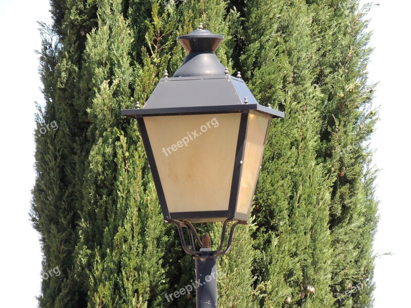 Street Lamp Background Light Tree Contrast