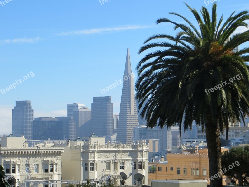 San Francisco California Usa Transamerica Pyramid Building