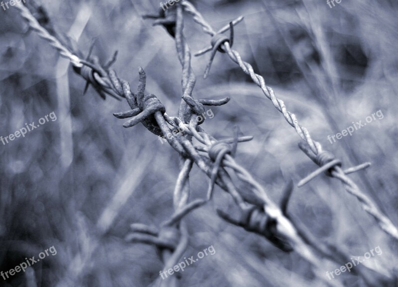 Barbed Wire Close Up Wiring Limit Demarcation