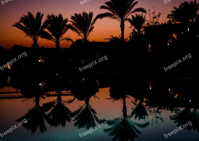 Palm Trees Mirroring Pool Idyll Vacations