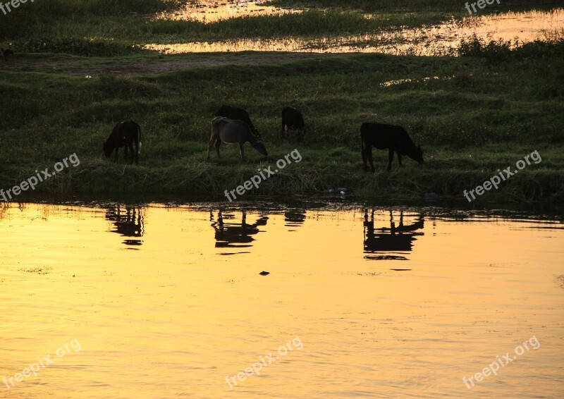 Nile River Egypt Mirroring Water Reflection