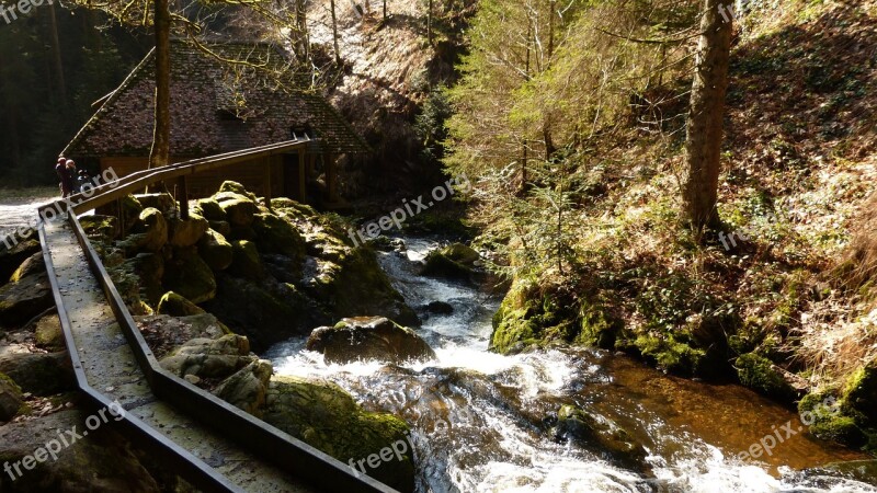 Black Forest Gully Ravenna Gorge Forest Free Photos