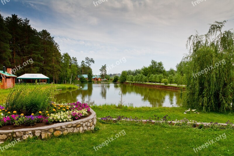 Lake Trees Flower Bed Nature Sky