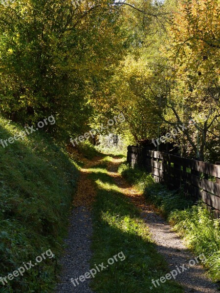 Lane Path Trail Nature Landscape