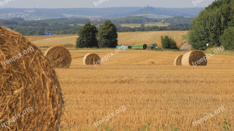 Harvest Grain Agriculture Wheat Thanksgiving