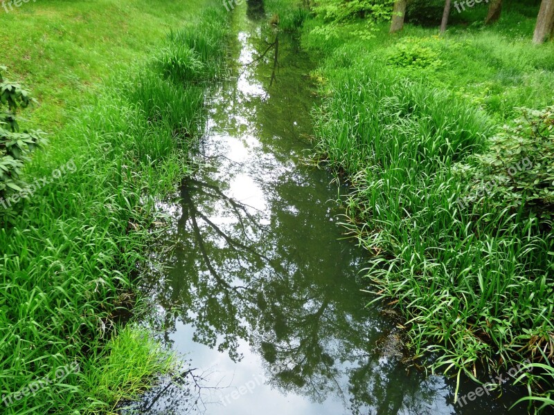 River The Brook Torrent Forest Brook