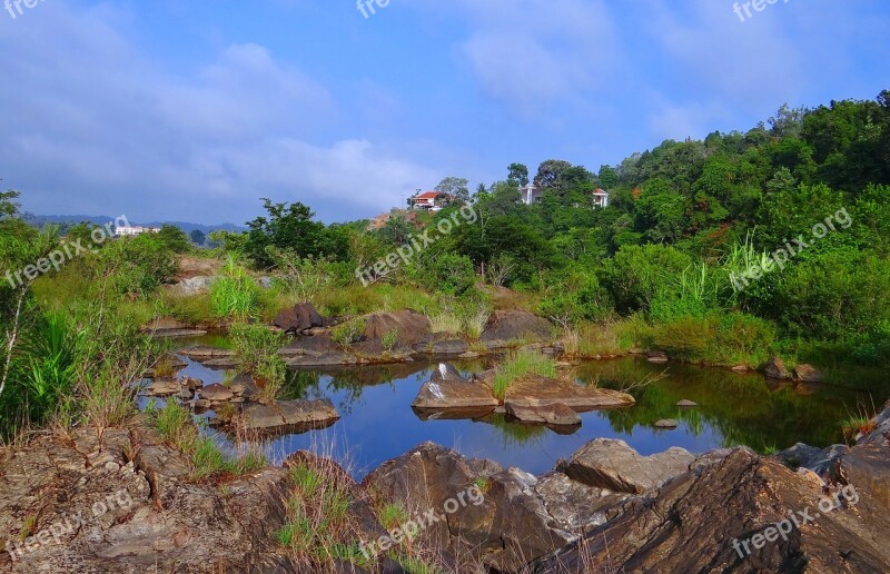 Evergreen Forest Western Ghats Sharavati River River Bed Water