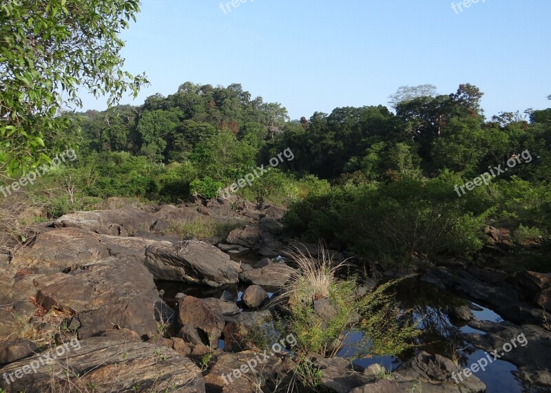 Evergreen Forest Western Ghats Sharavati River River Bed Water