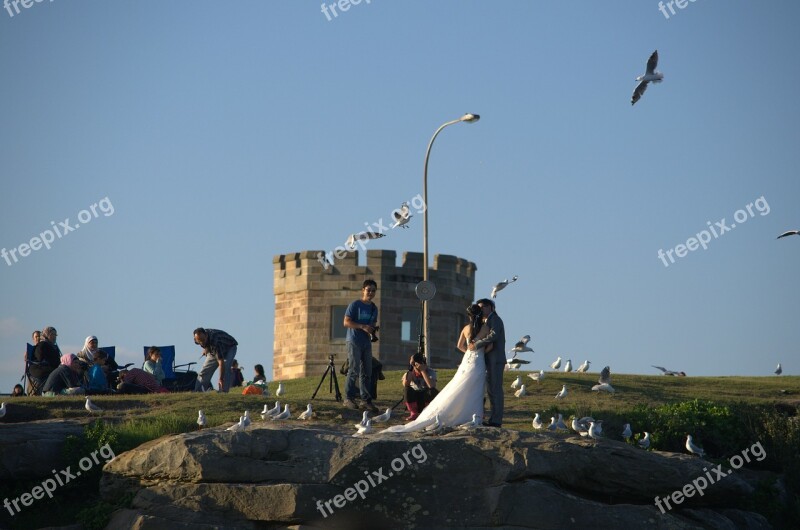 La Perouse New South Wales Wedding Taking Photo Bird