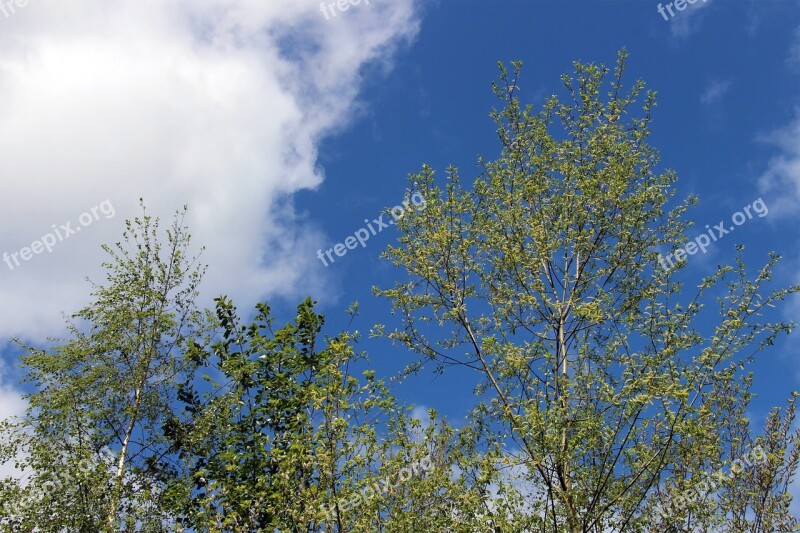 Sky Clouds Blue White Green