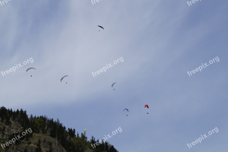 Parachute Parachutist Skydiving Championship Bavarian