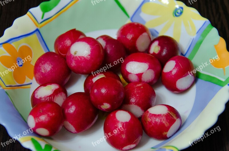 Radishes Root Crop Red Plate Free Photos