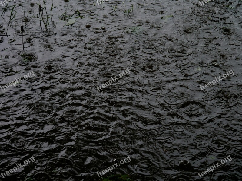 Rain Raindrop Puddle Weather Storm