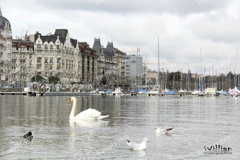 Geneva City Heron Cities Switzerland